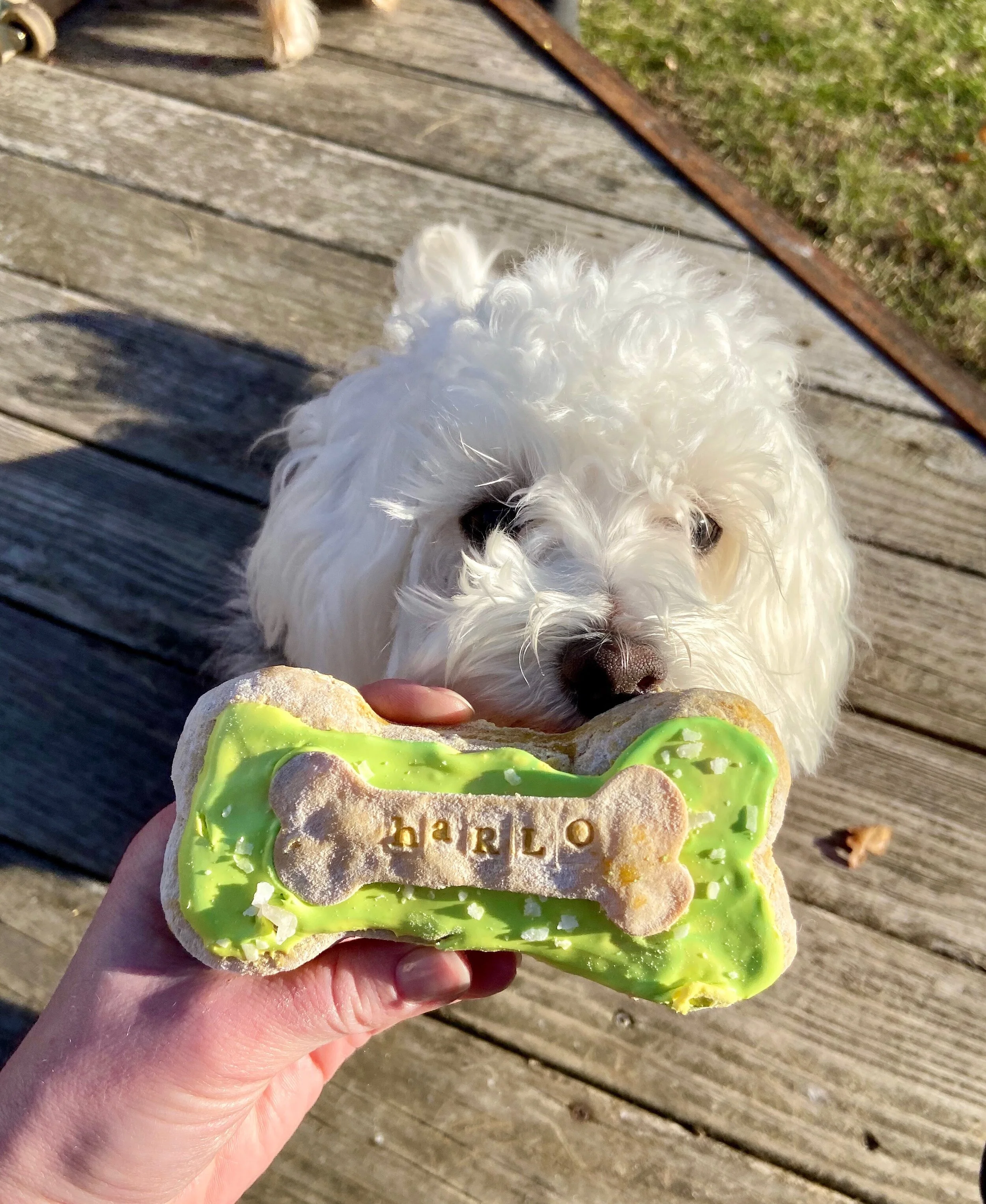 DC6D6EE9-088F-4023-B414-9652CBDFD0FA