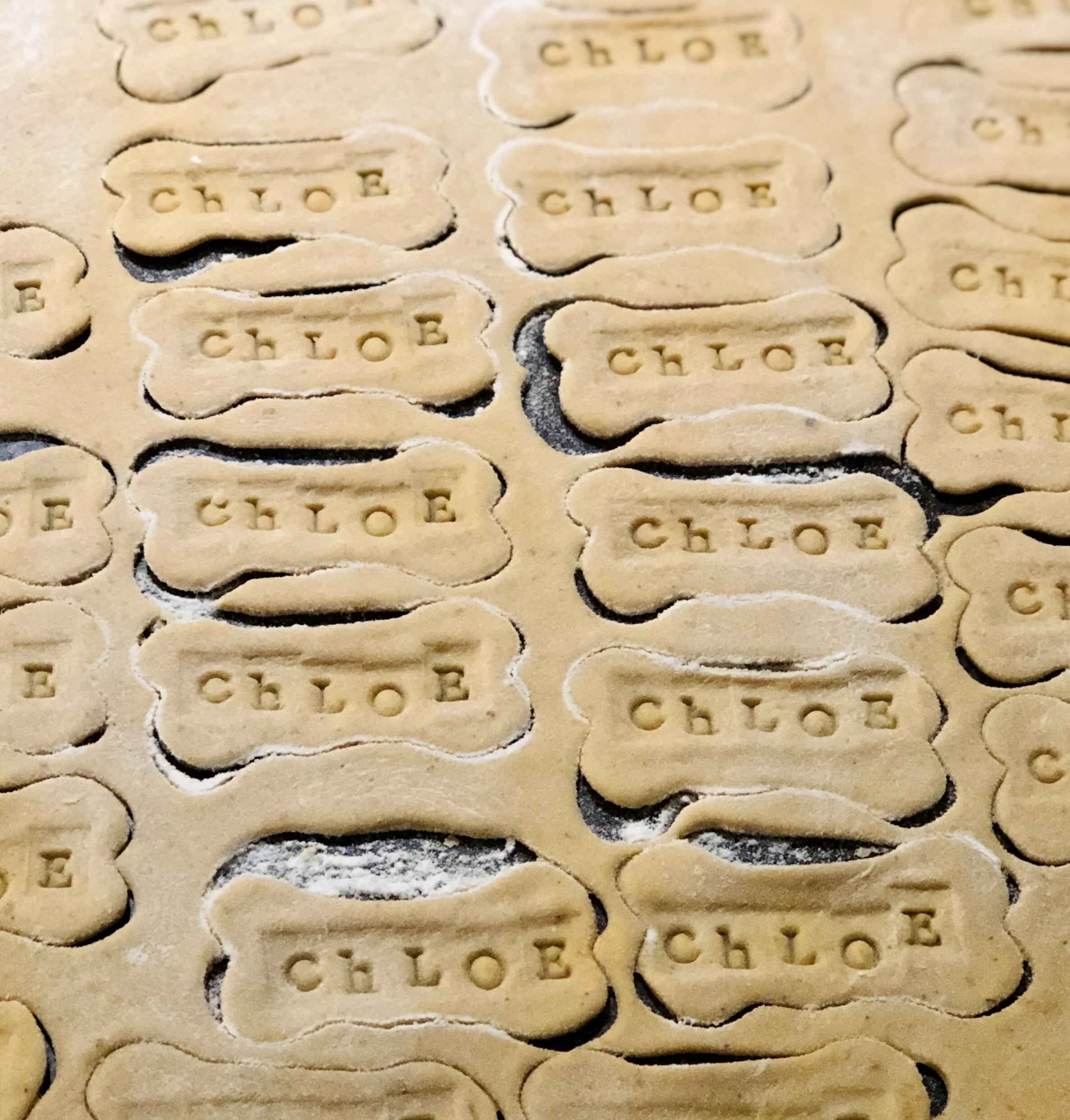 A0653CCD-A606-4B7F-B9C7-8BA0155A4E2D