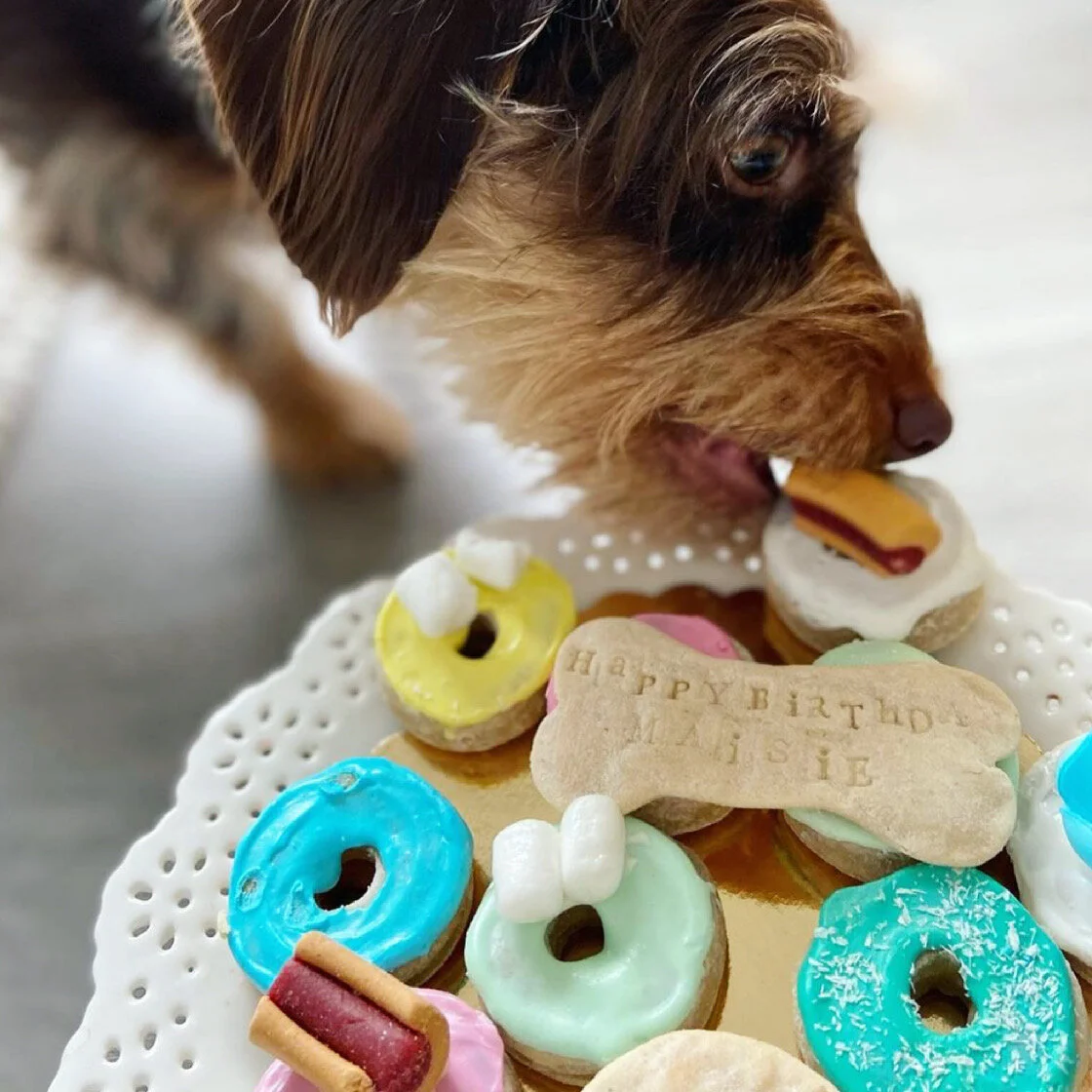 1944A32B-3E72-45C0-9326-BAC4E2284F58