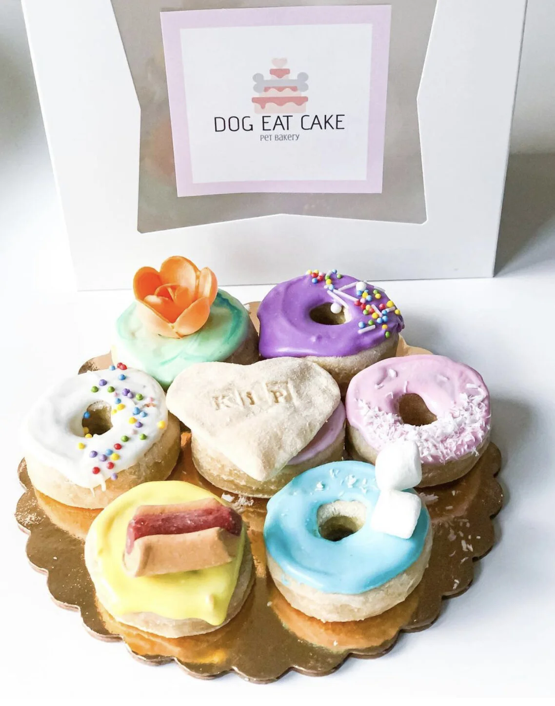 C8AD0909-83BA-436C-9B47-B45AAD9EC696