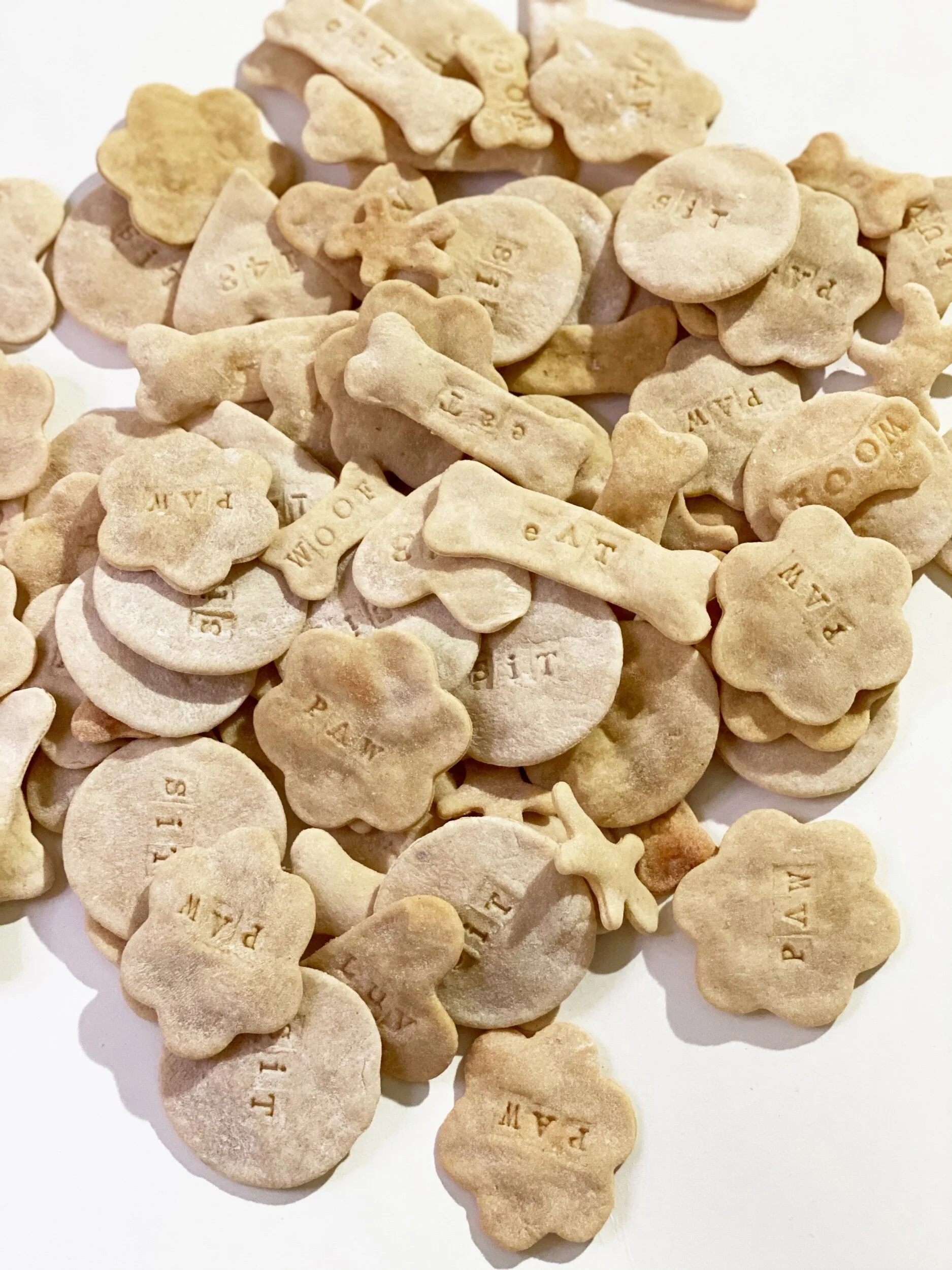 A76E7205-6369-49E3-AC28-BB783AF6CFCE