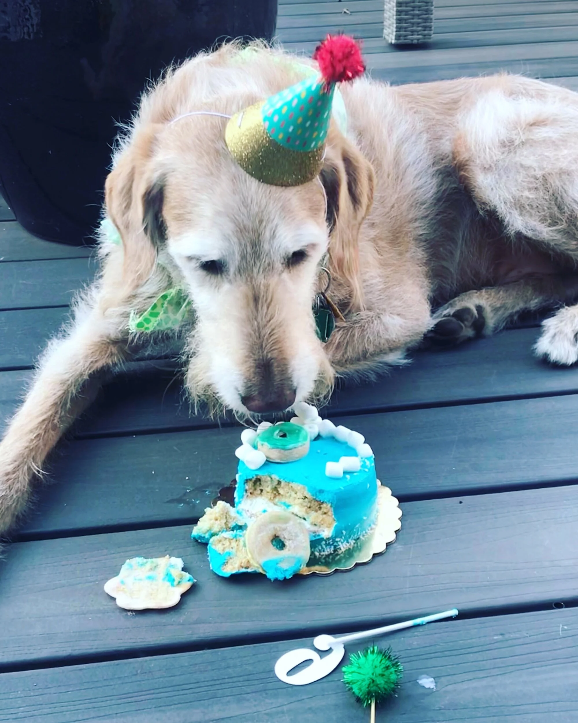 DFBC128A-8FF5-4918-A390-6D1497F5C1CC