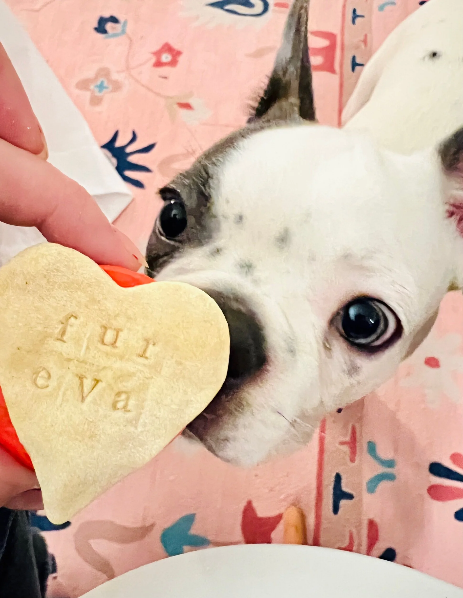 C616168F-6C8D-4C7D-822D-C6FCF78D4720