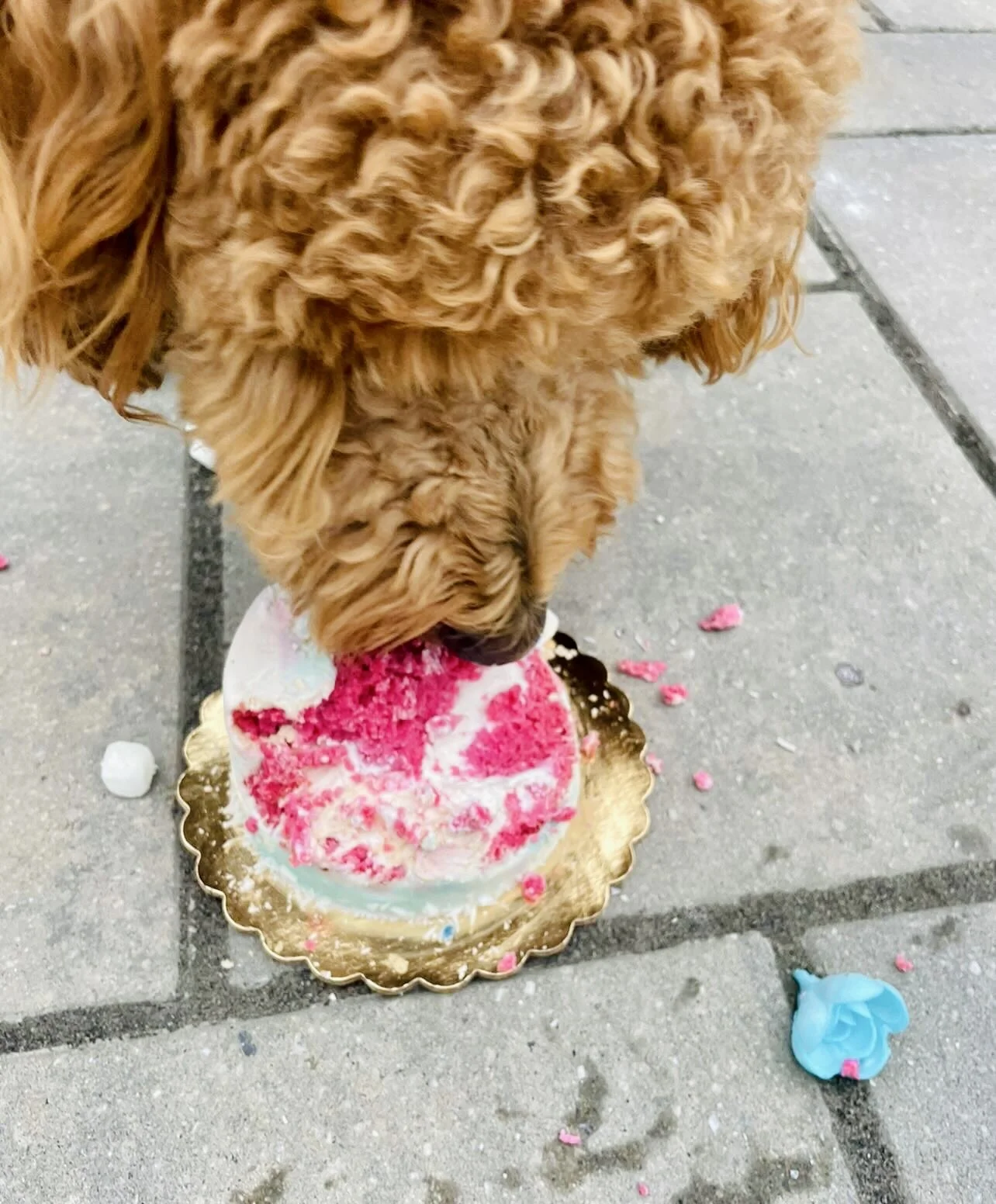 1D5BC85A-7614-484D-857D-AFB50E452920