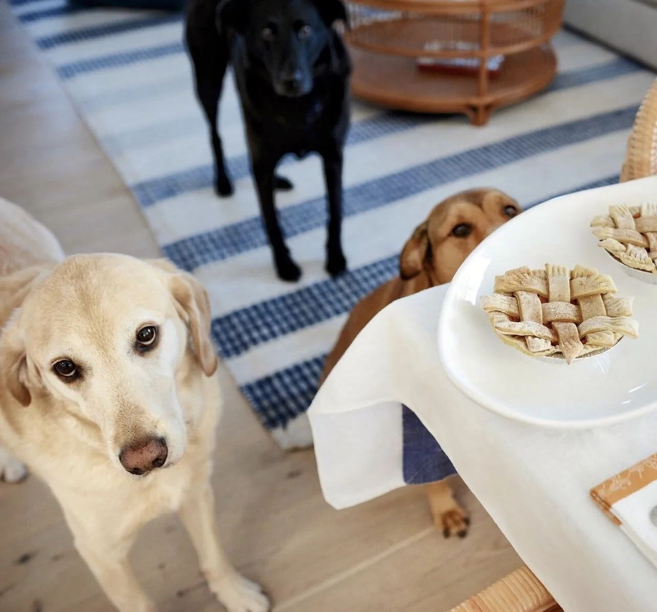 B644D5CD-745E-48D9-8B28-AFD21BF4472C