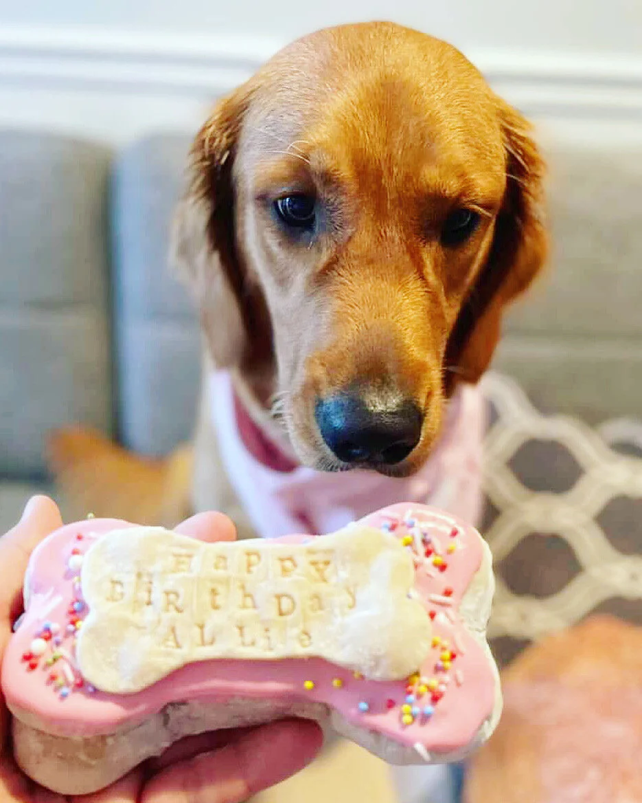 26FA7692-CE17-4BFC-8DE6-7325D900CC43