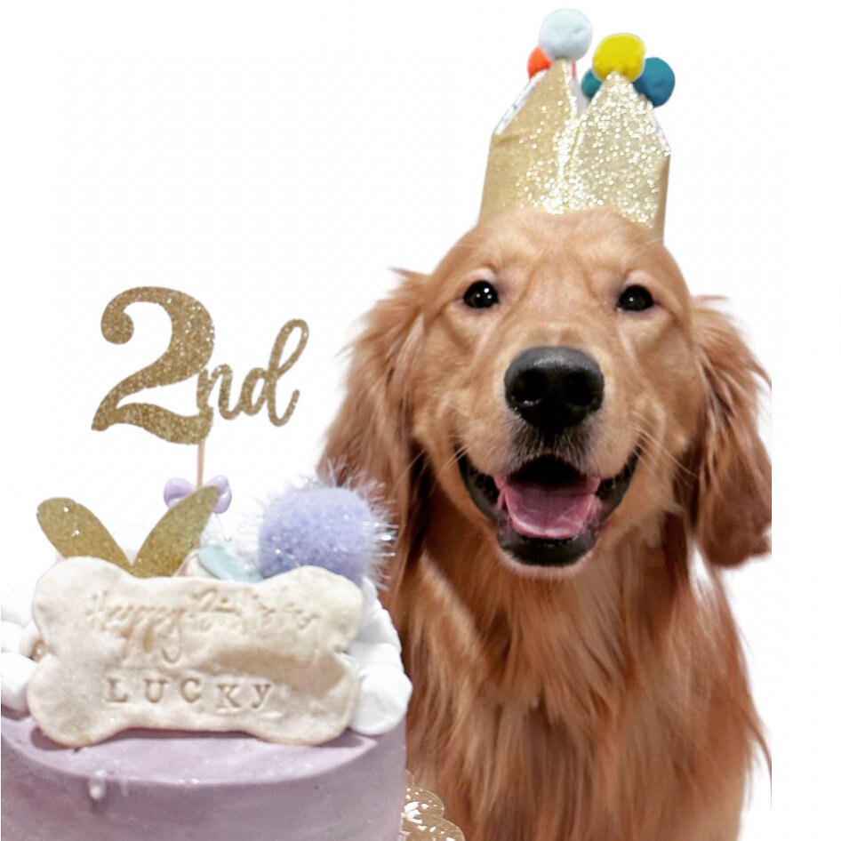 2B93066D-EC05-4931-81CE-90B40C4AC604