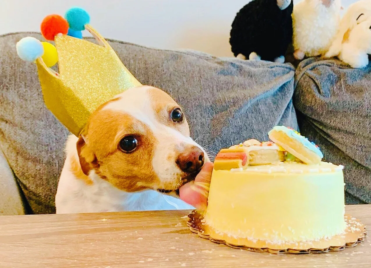 0182EE22-52D7-4050-AA34-B0C6CEADCF3A