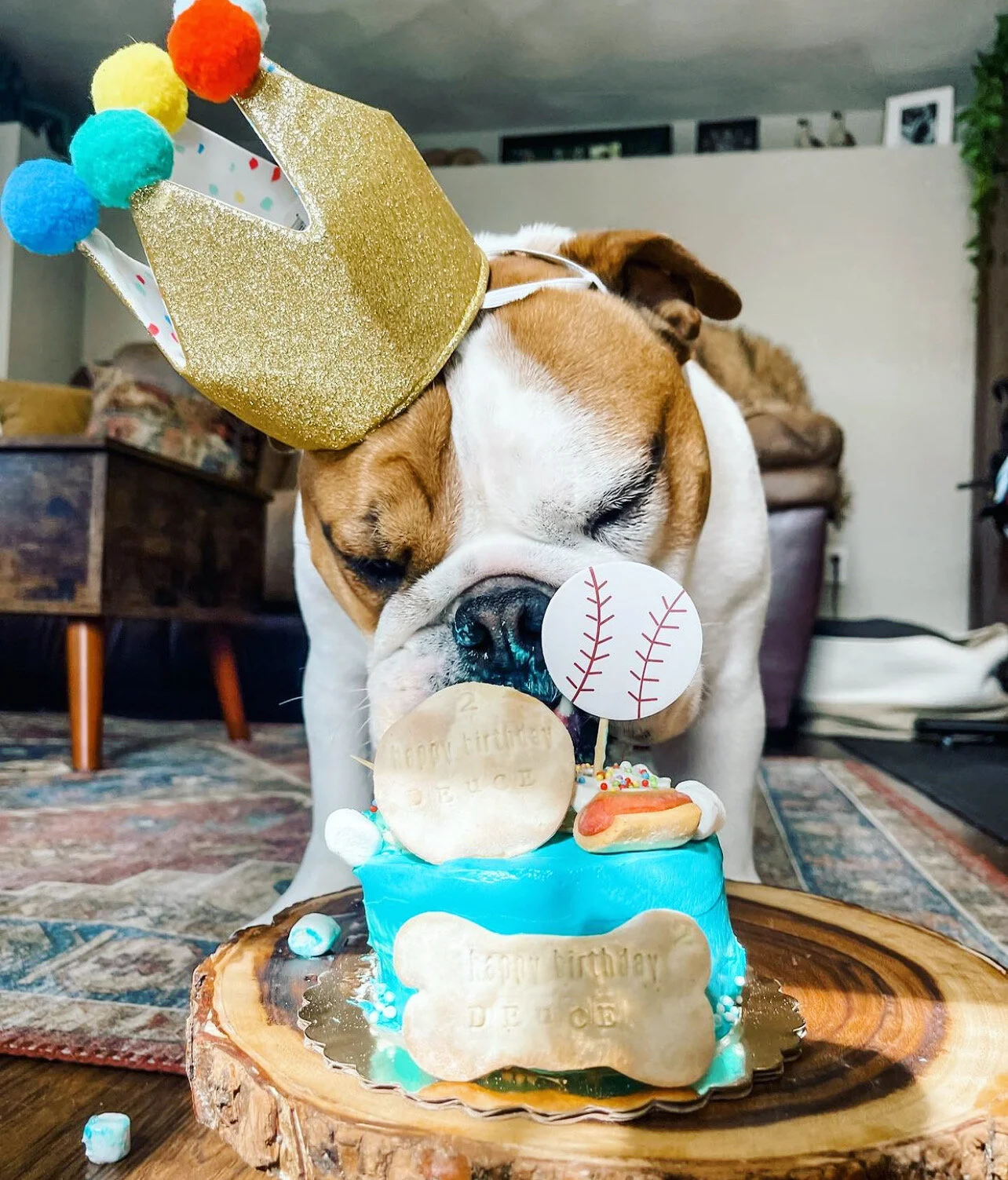 905B7FF7-1E4B-4280-BADE-DFFC7E925594