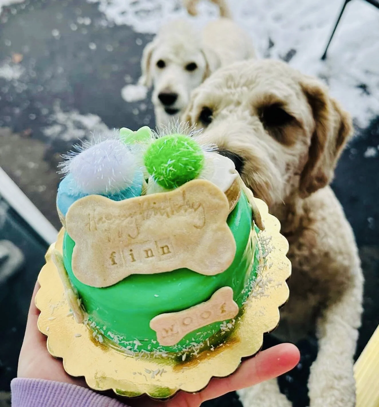 36D0ED1B-7755-4AEF-A878-54BE2E3A4926