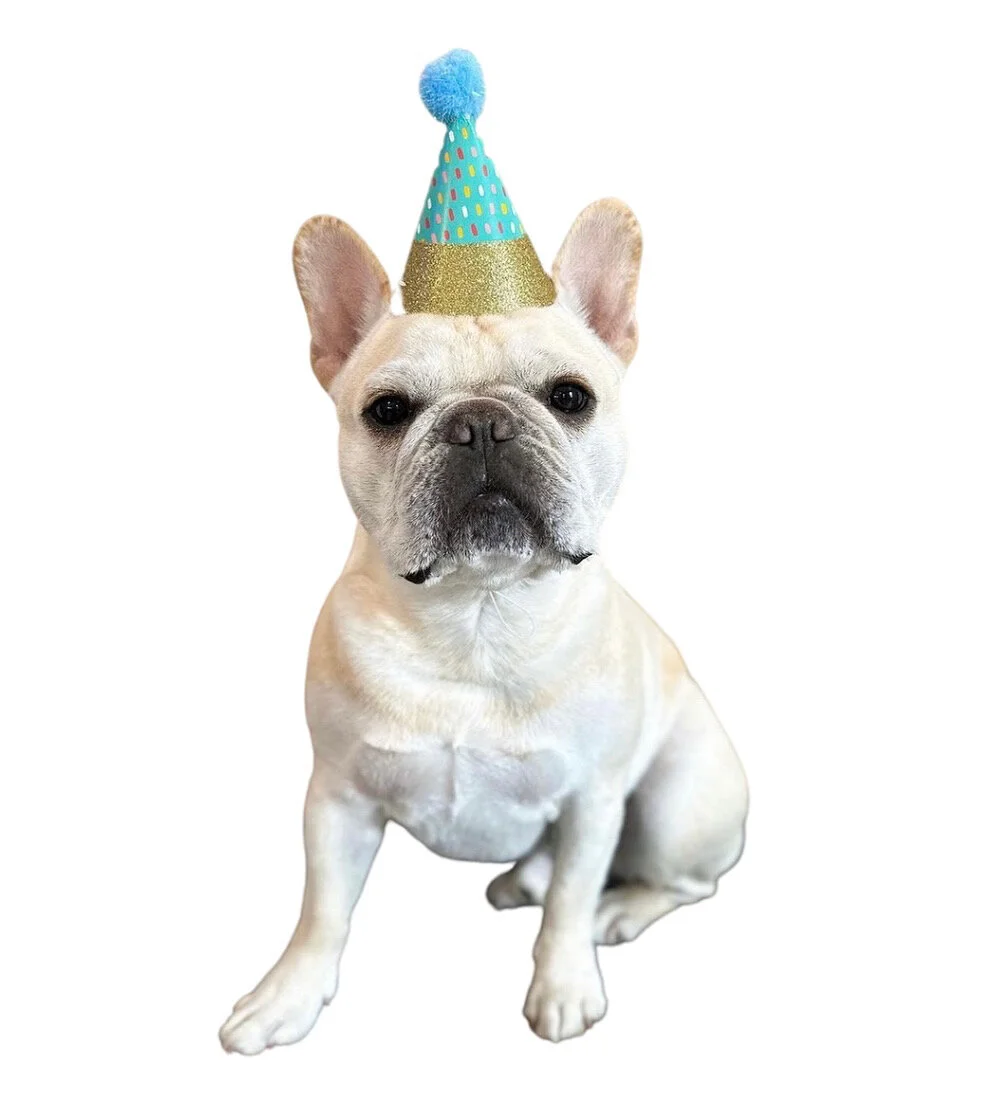 128931E2-D63E-4D2E-A328-9BA460FAB0FA