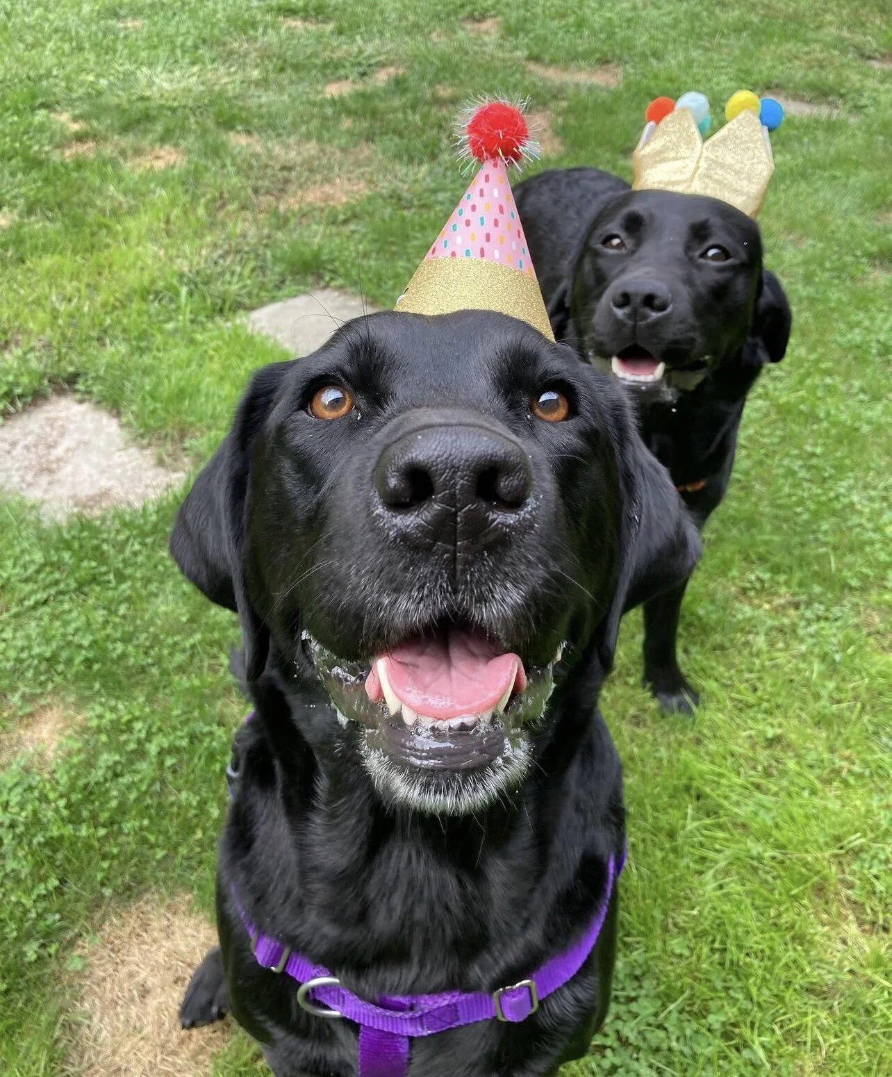 C4429AF1-A0CC-4865-8F6D-F38AB28C8A91