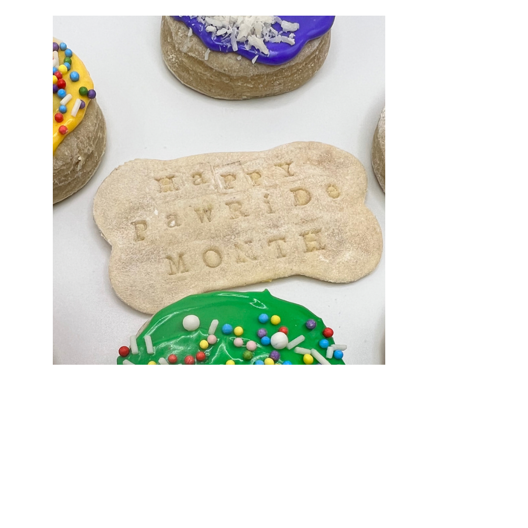 0CF78A0B-E5A8-46A7-A41F-B869C1BDF125