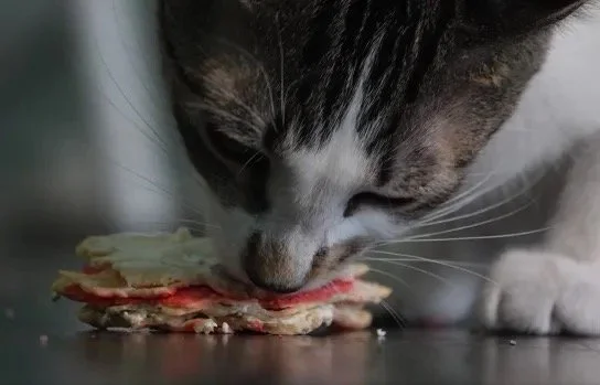 61E632CB-0E7F-43D7-AE04-21B070F9B1BE