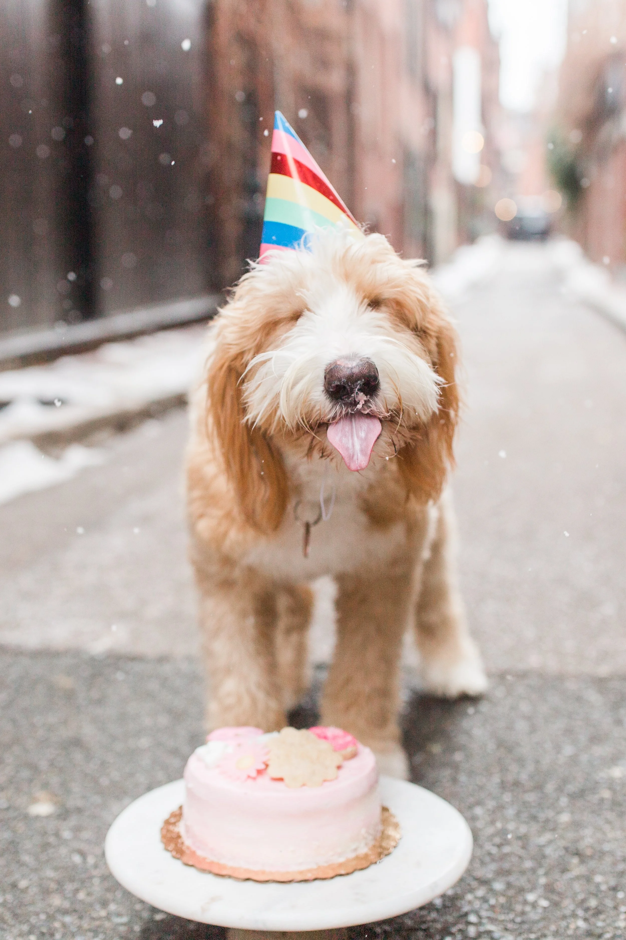 Rosie-Bday-36.jpg (Copy)