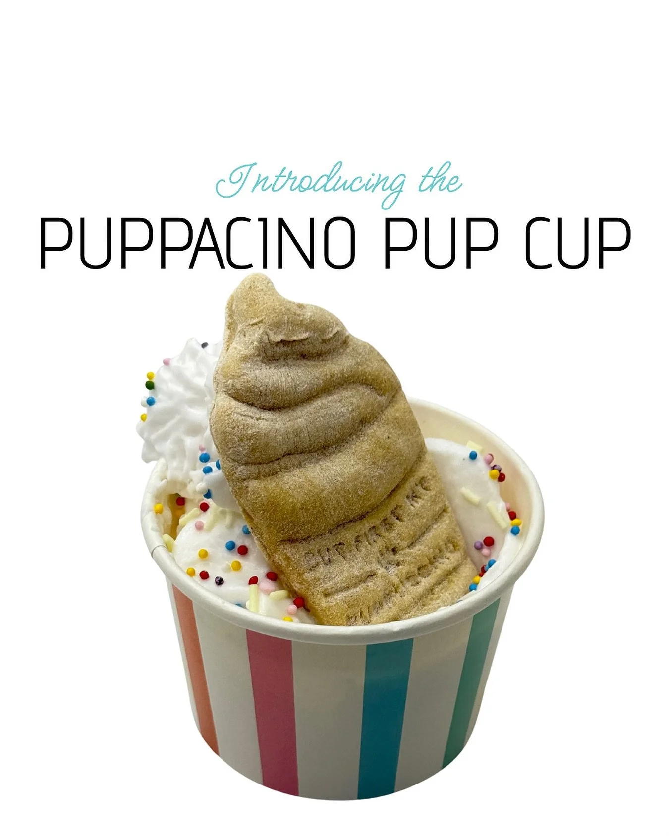 🎀 Introducing the Pup Cup Puppacinos 🎀

Each one&rsquo;s filled with coconut whip and vegan sprinkles (yep, we kept it all-natural + adorable). Topping it all off is a hand-stamped, coffee-shaped treat that&rsquo;s as cute as it is tasty. 

Perfect