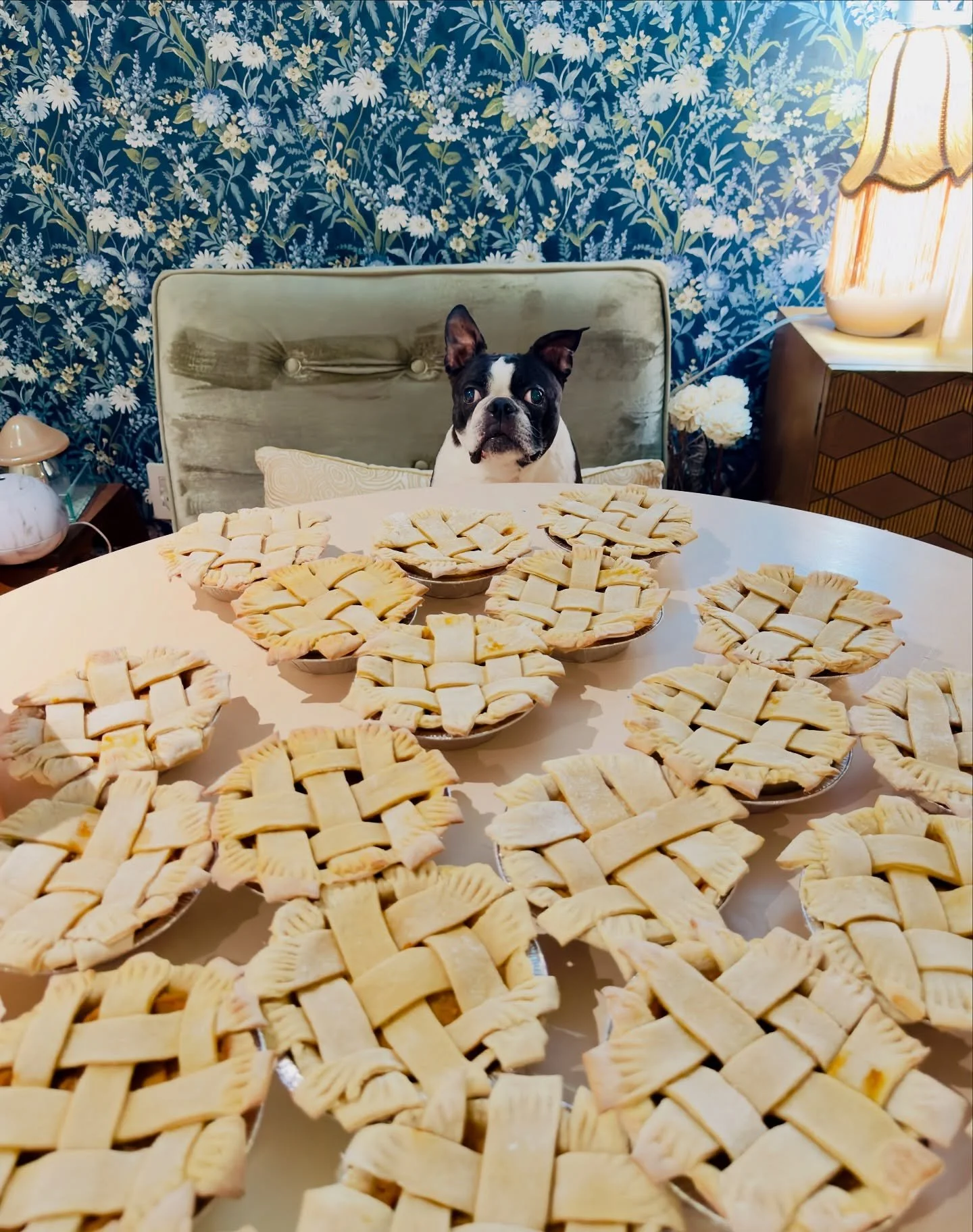 Hope everyone had the sweetest Thanksgiving weekend! 🥧
Bean sure did &mdash; he spent the whole day guarding his pies like the little dessert king he is. 😂

Thank you for all the love, orders, and support this holiday week. We&rsquo;re so grateful 