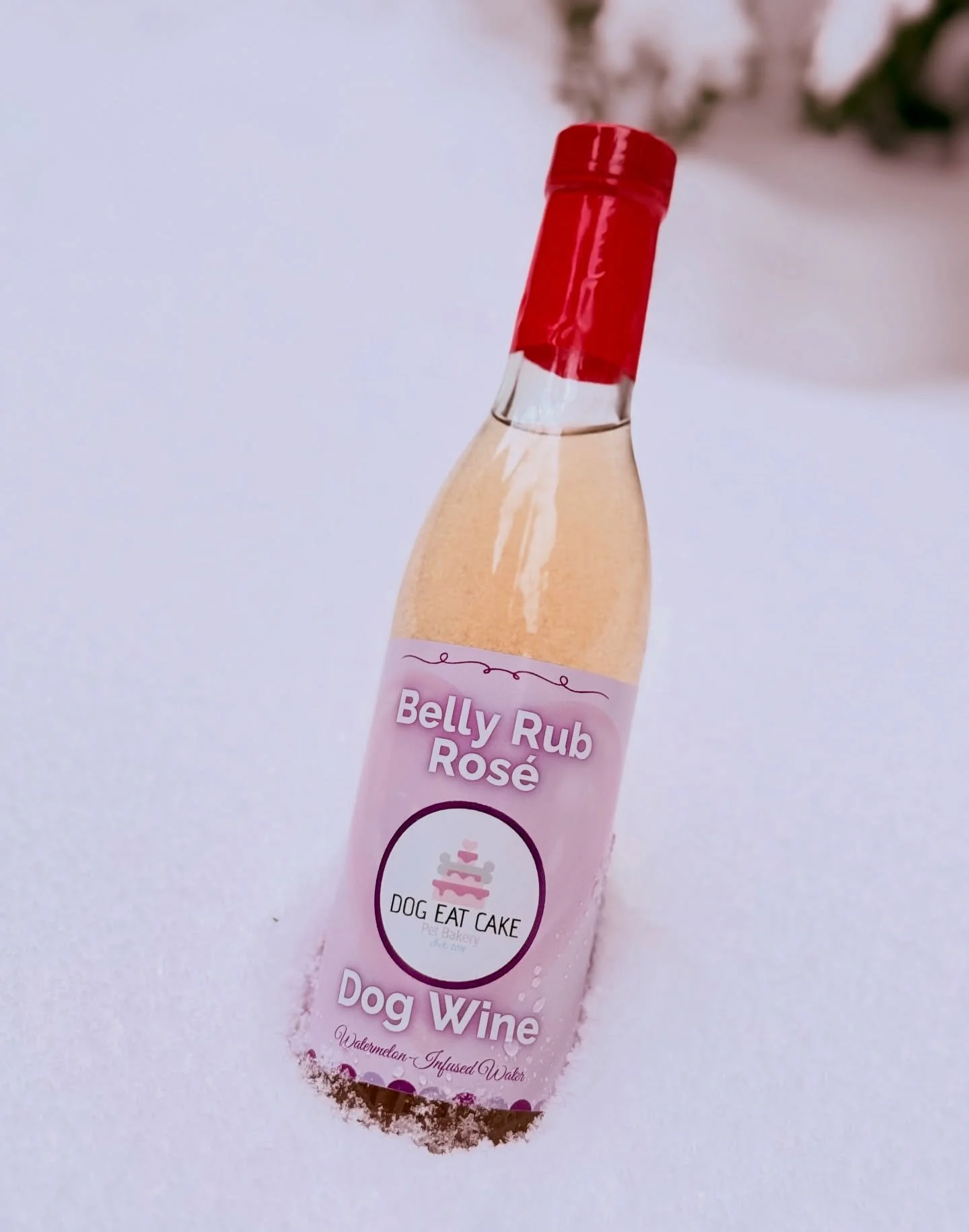 Snowed in. No walks. Bad vibes.
We have wine for that. 🐾🍾❄️
Belly Rub Ros&eacute; for Boston snow days.

#BostonDogs #SnowDayVibes #DogWine #DogParents #DogEatCake