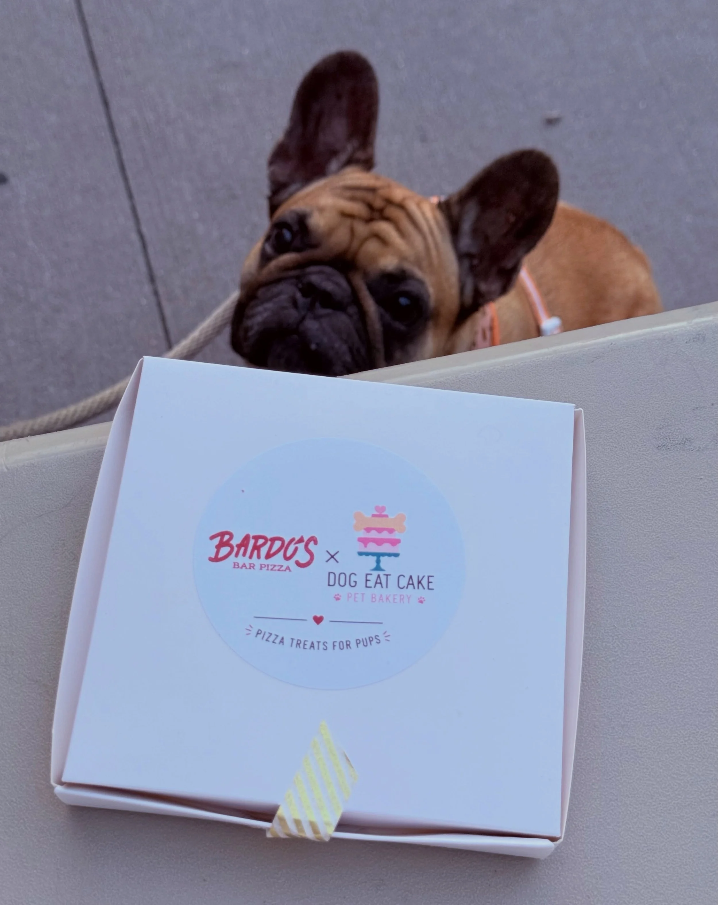 You asked. The pups answered. 🍕🐾

Our Pup Pizzas were such a hit at our Bardo&rsquo;s Pizza Pawty that we officially added them to the Dog Eat Cake menu!

Each 4-inch pizza is made just for dogs with our homemade crust, sweet potato &ldquo;pepperon