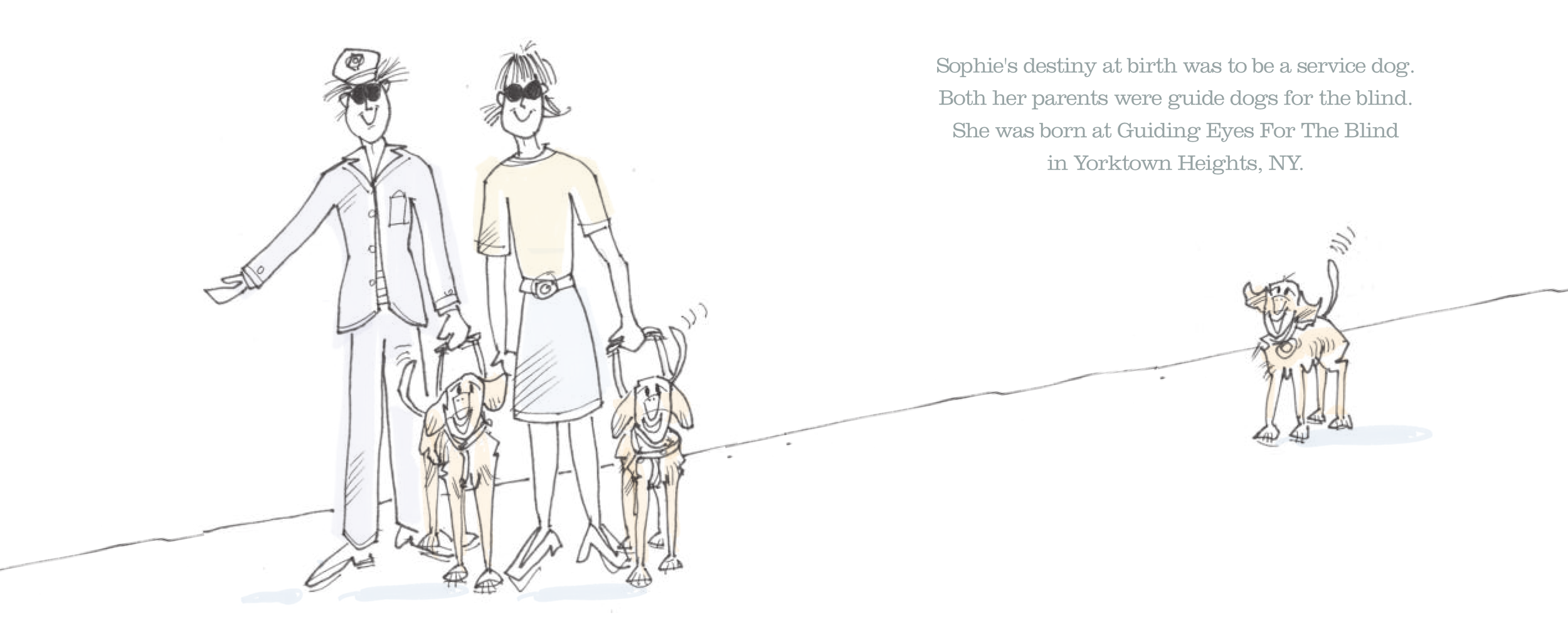 Sophie's-Story-copy-4.png