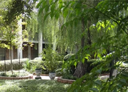 Courtyards in Springtime