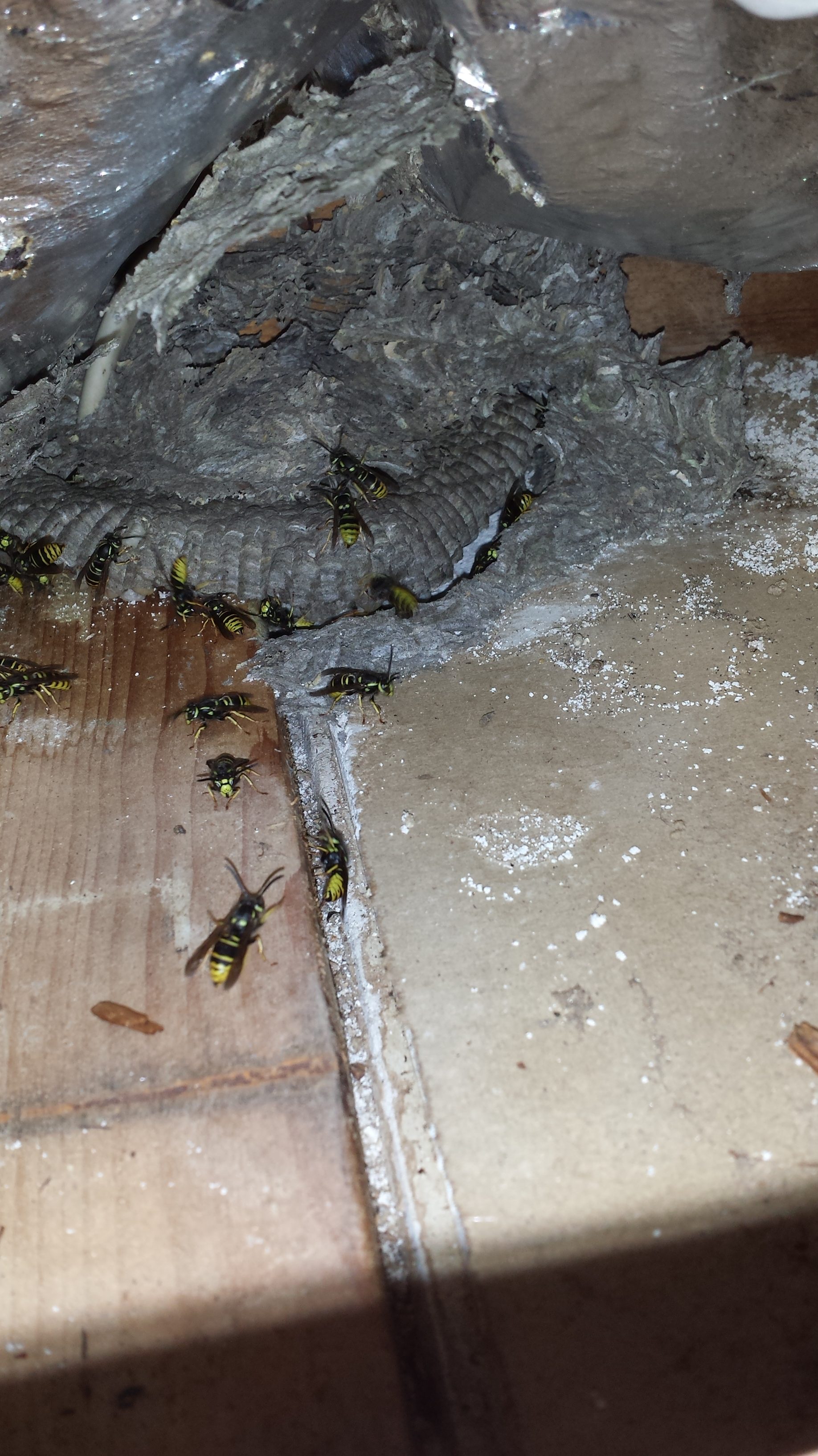 20140729_142435-e1523469543948.jpg