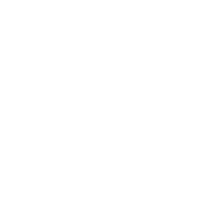 CEBSA_respect.png