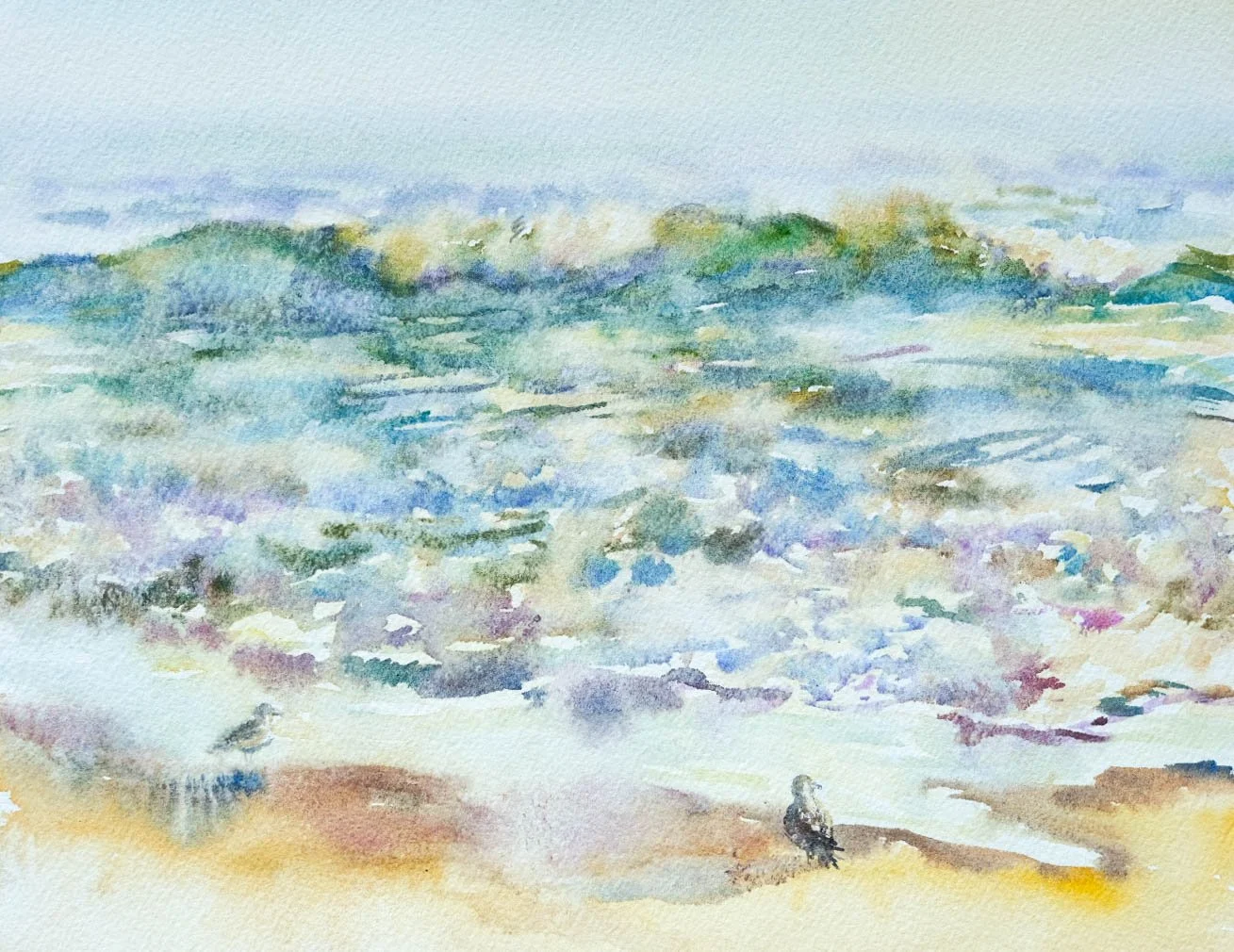 Waves and Two Seagulls (plein air), 8" x 10"