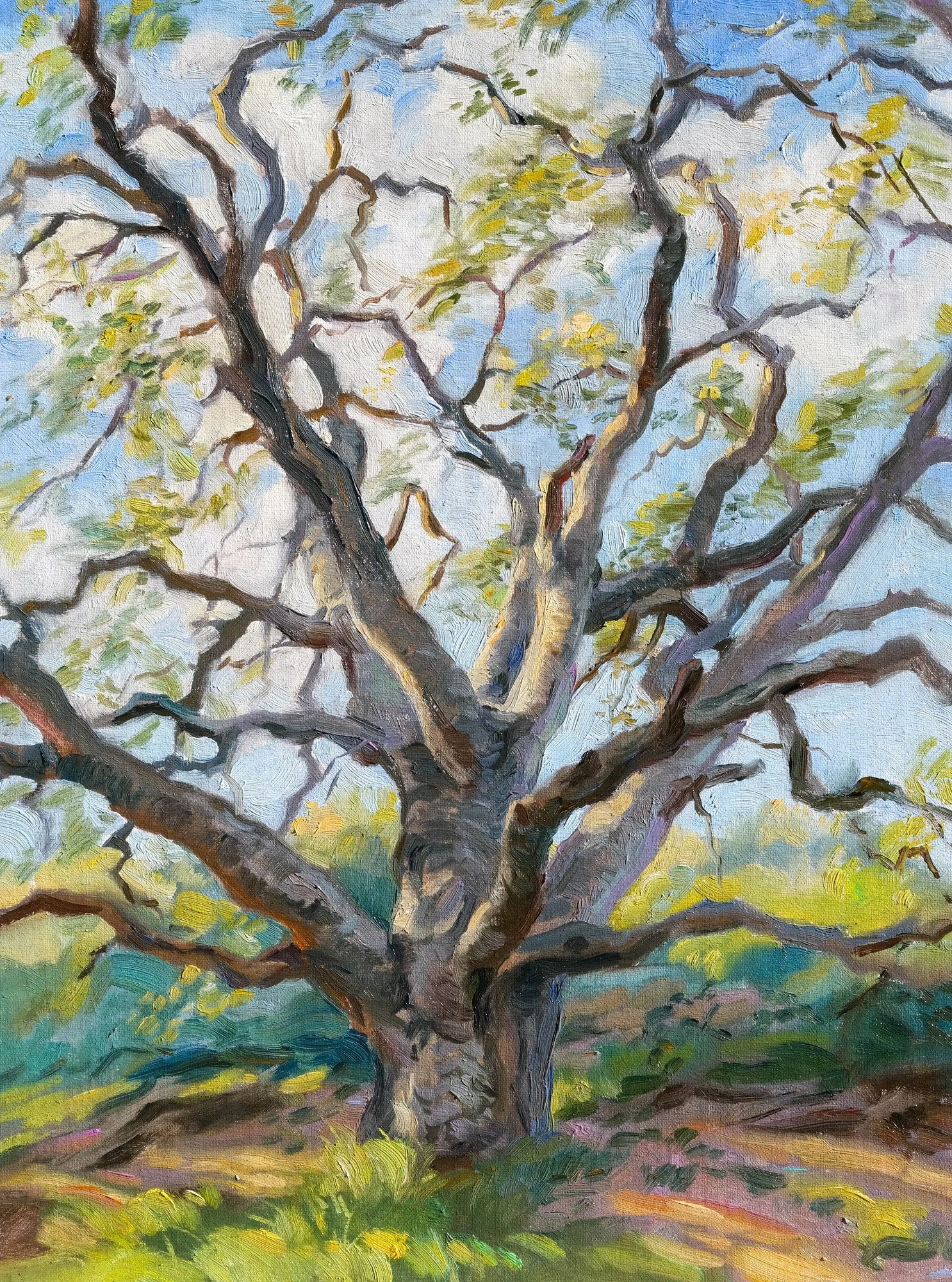 Traditional Landscapes