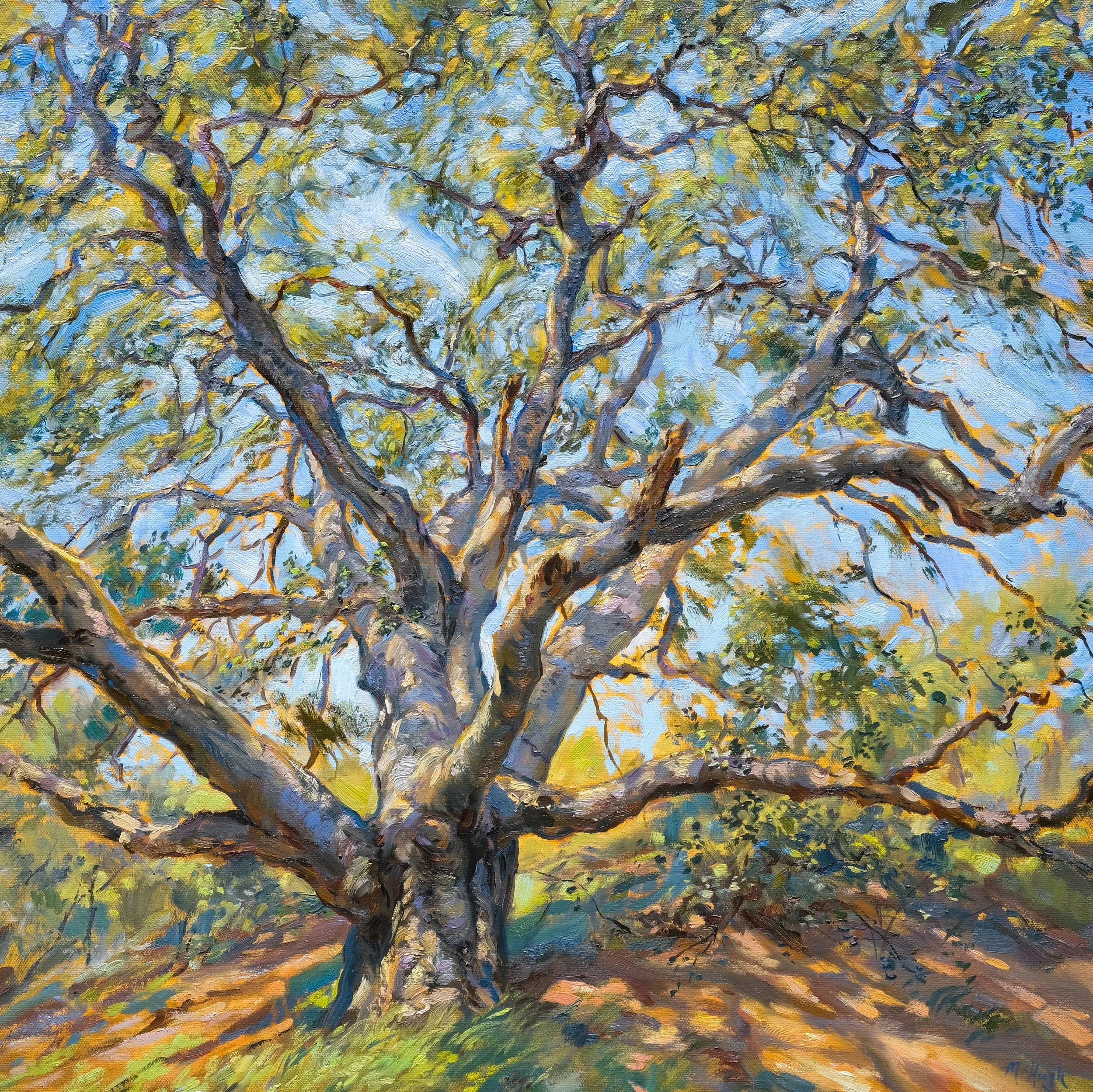 Traditional Landscapes