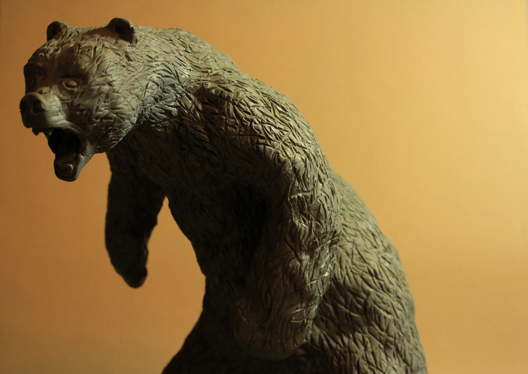 bear04.jpg