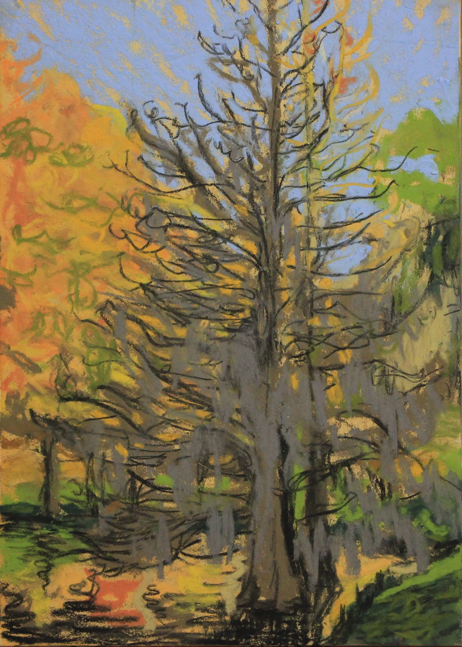 fierycypress.jpg