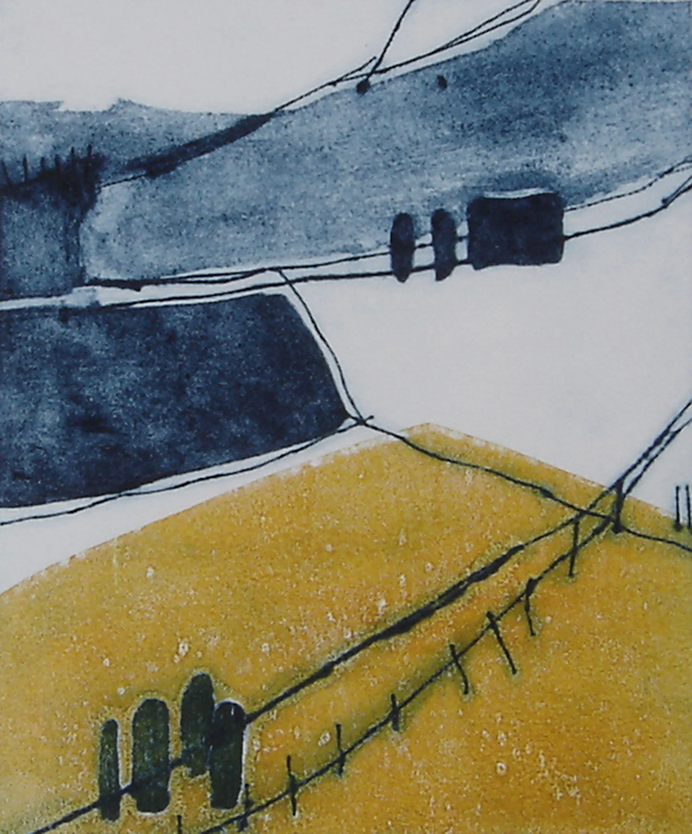 Sean's Fields Carborundum, drypoint and monotype, 28 x 24cm, edition of 3, 2012