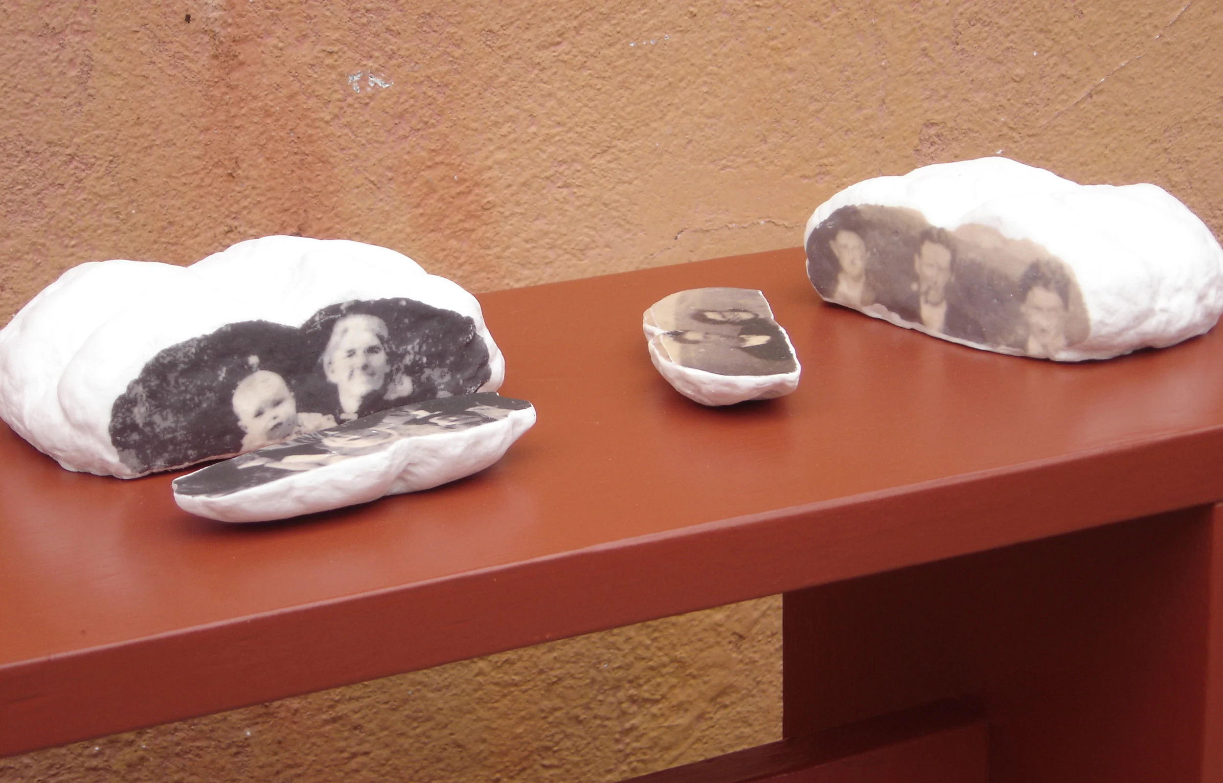 Lineage Wood, clay, acrylic transfer, dimensions variable 2009