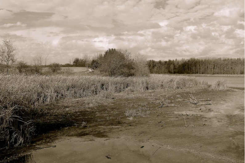 Drought