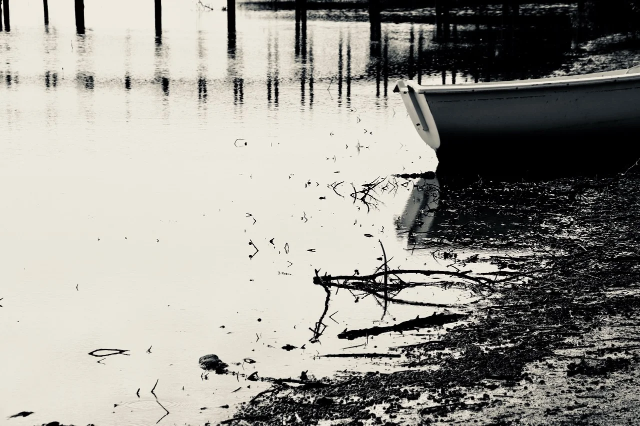 Harbor