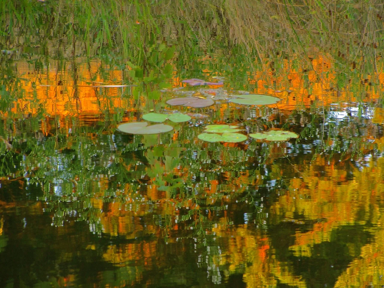 Monet