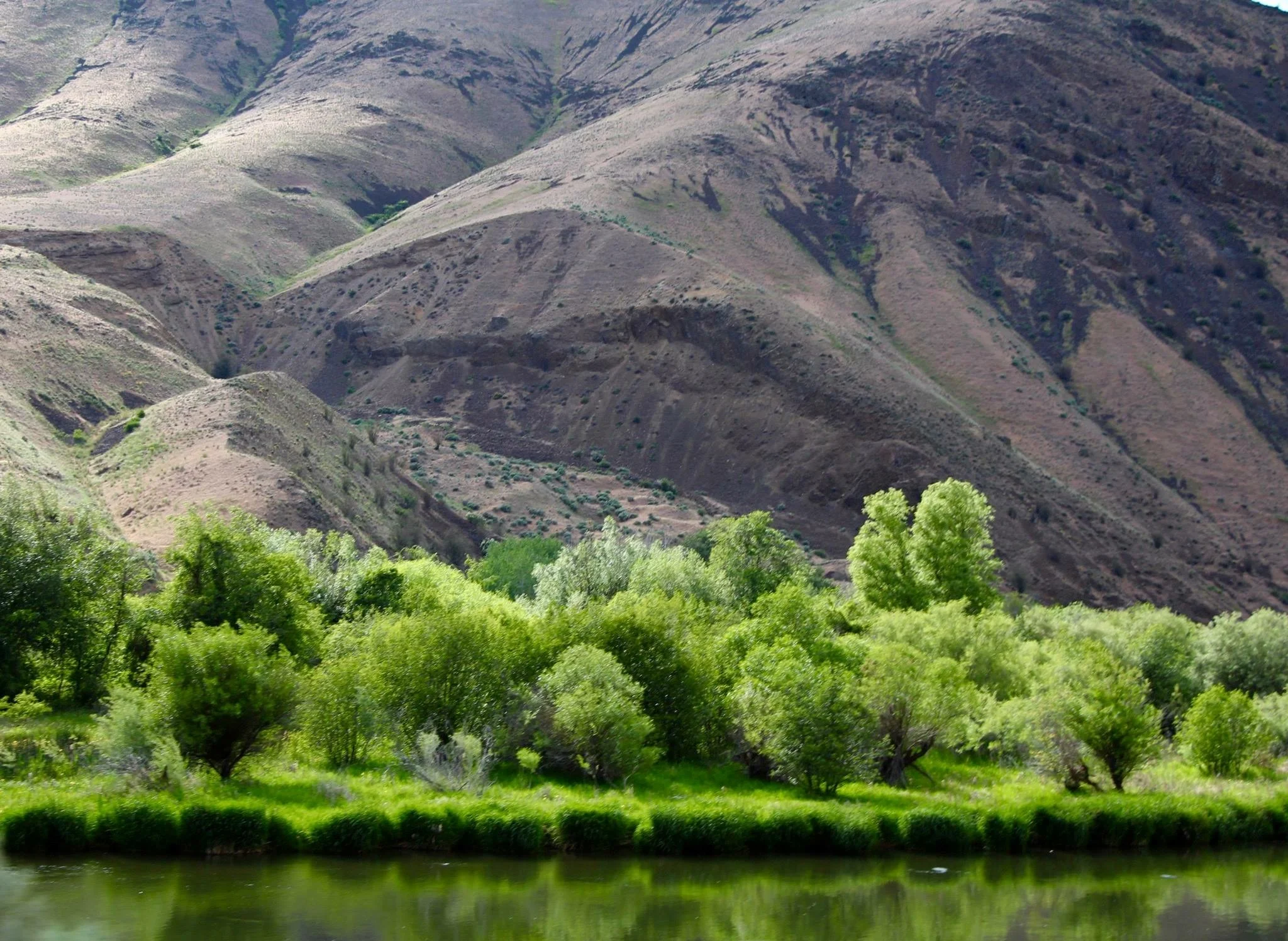 Green Hills