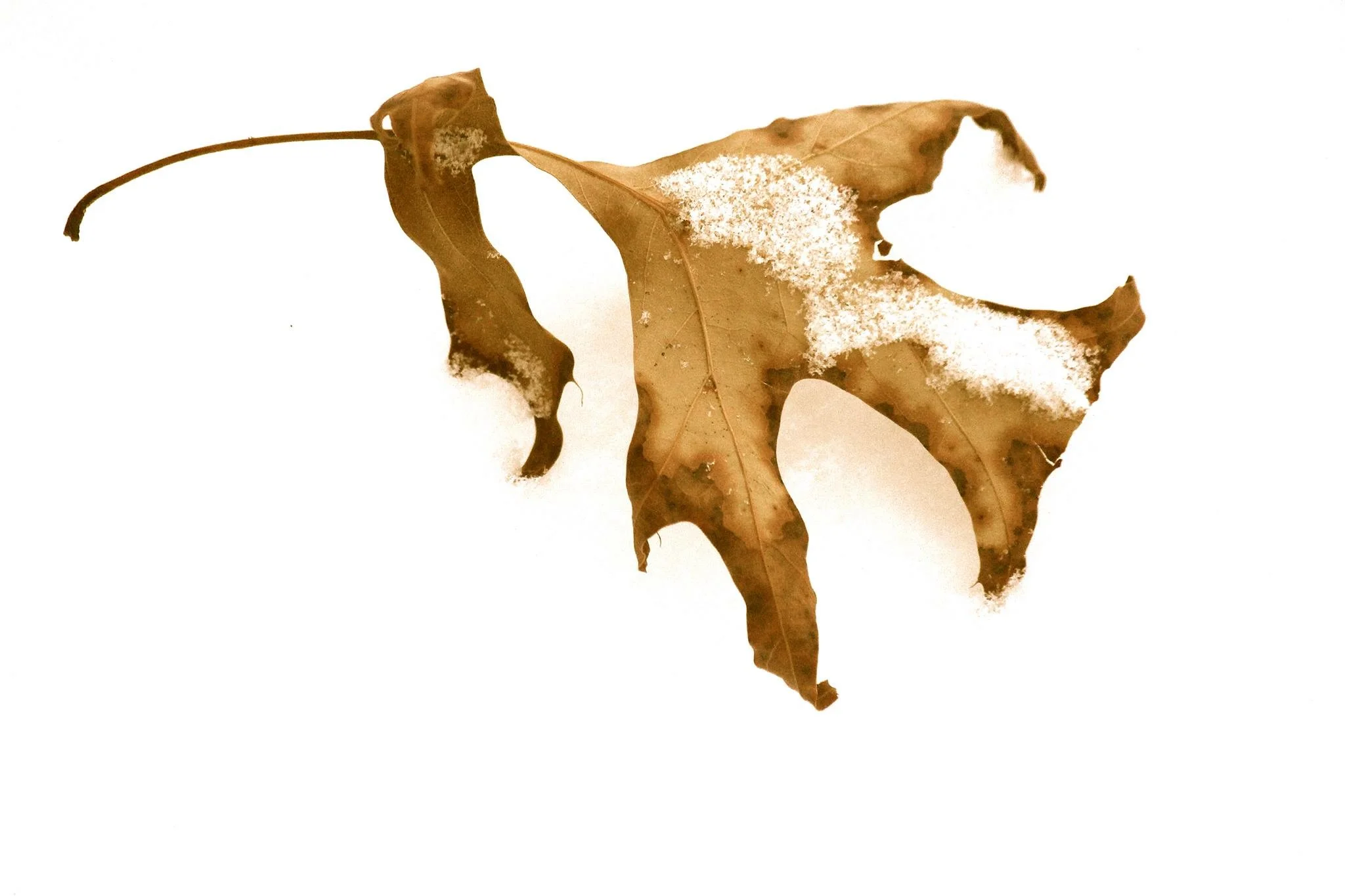 Remains