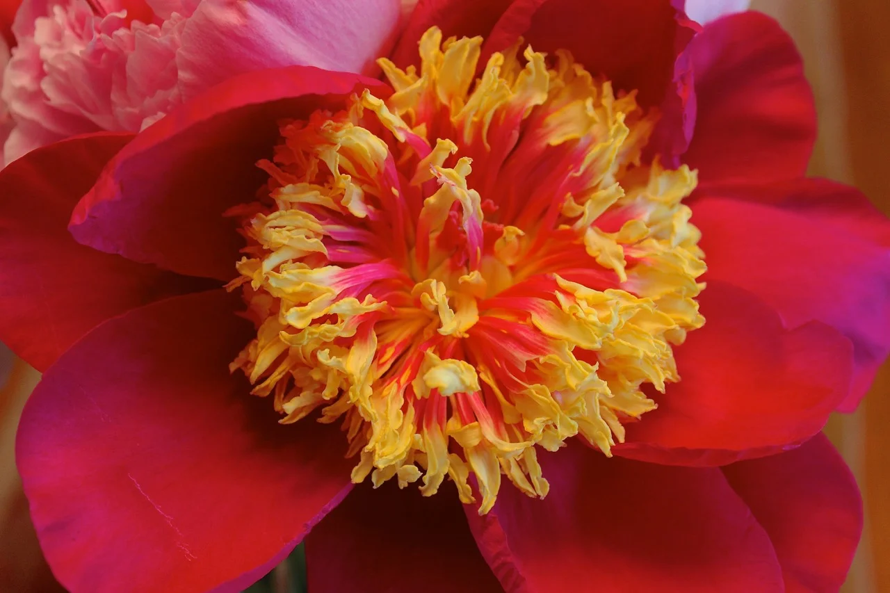 Center