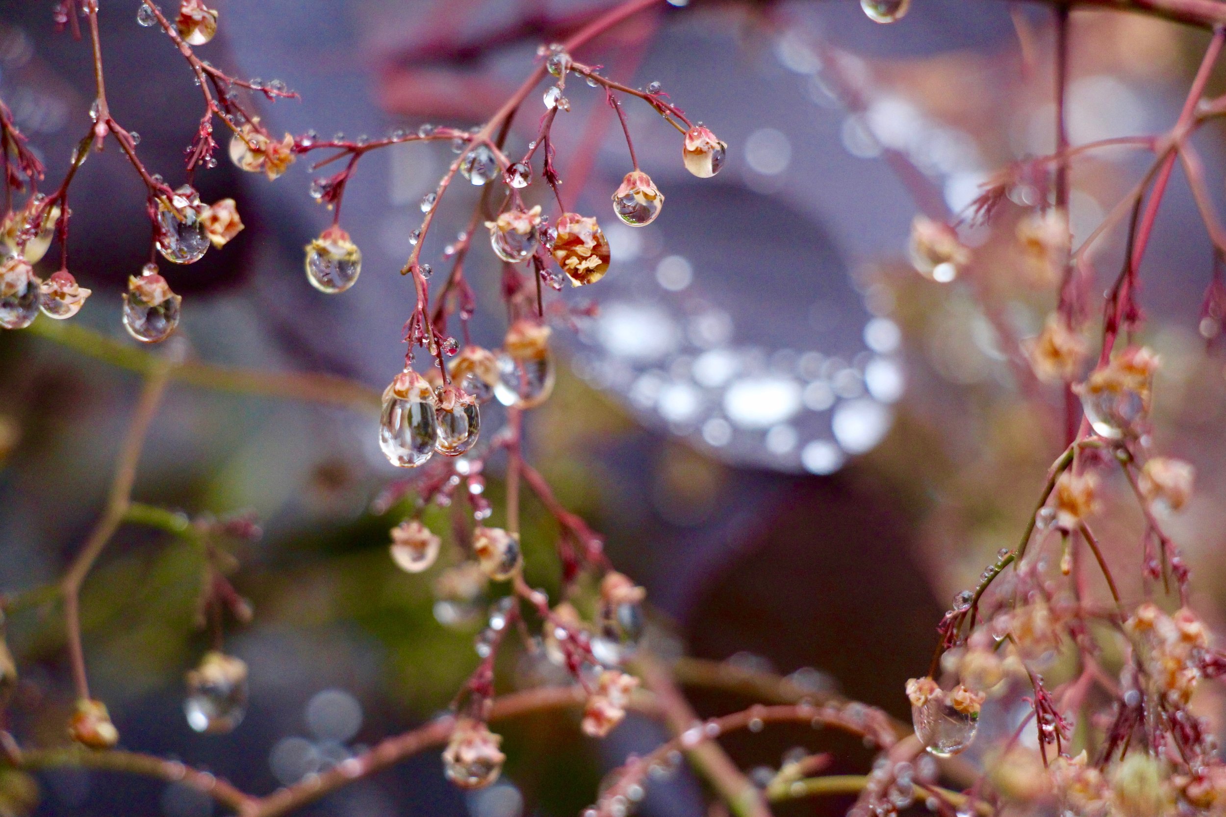 Beads