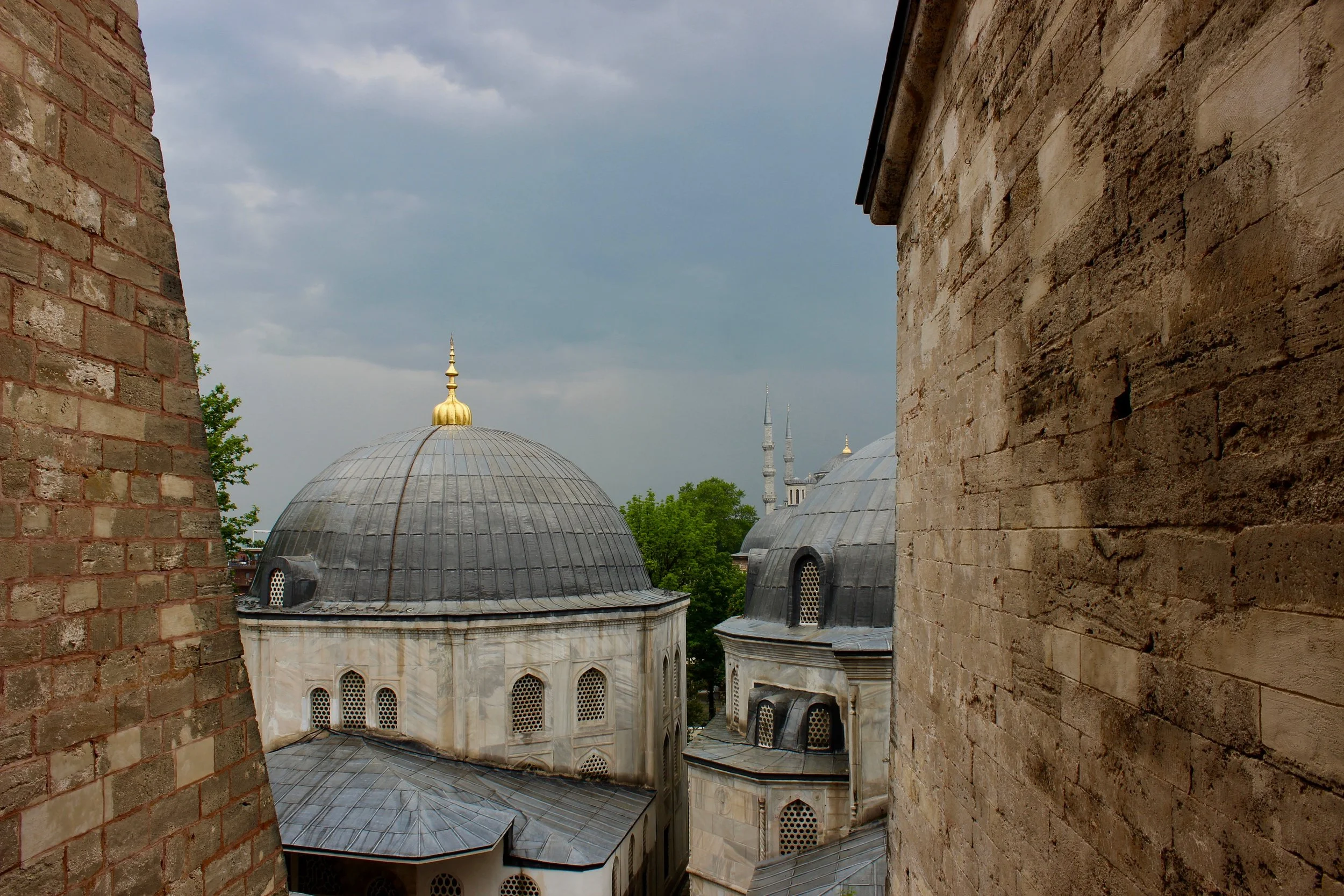 IMG_1697.jpg