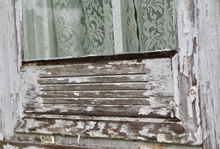 33514123_10212156845179239_9110586977345863680_cropped.jpg