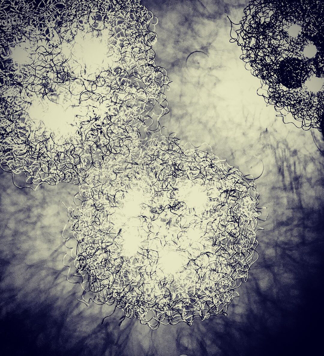82079285_183050629556554_7722682075093398882_n.jpeg