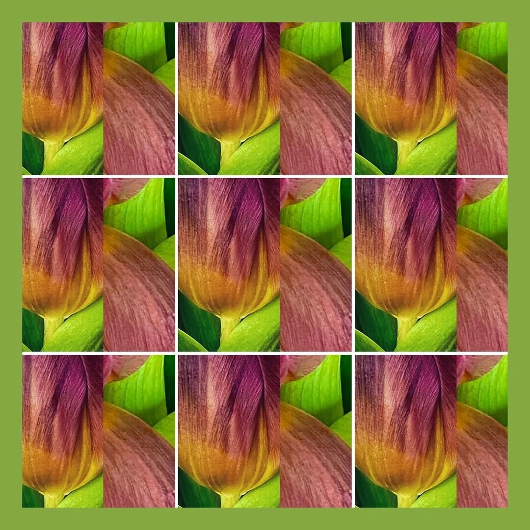 152122473_1115267138934909_524116889156531609_n.jpg