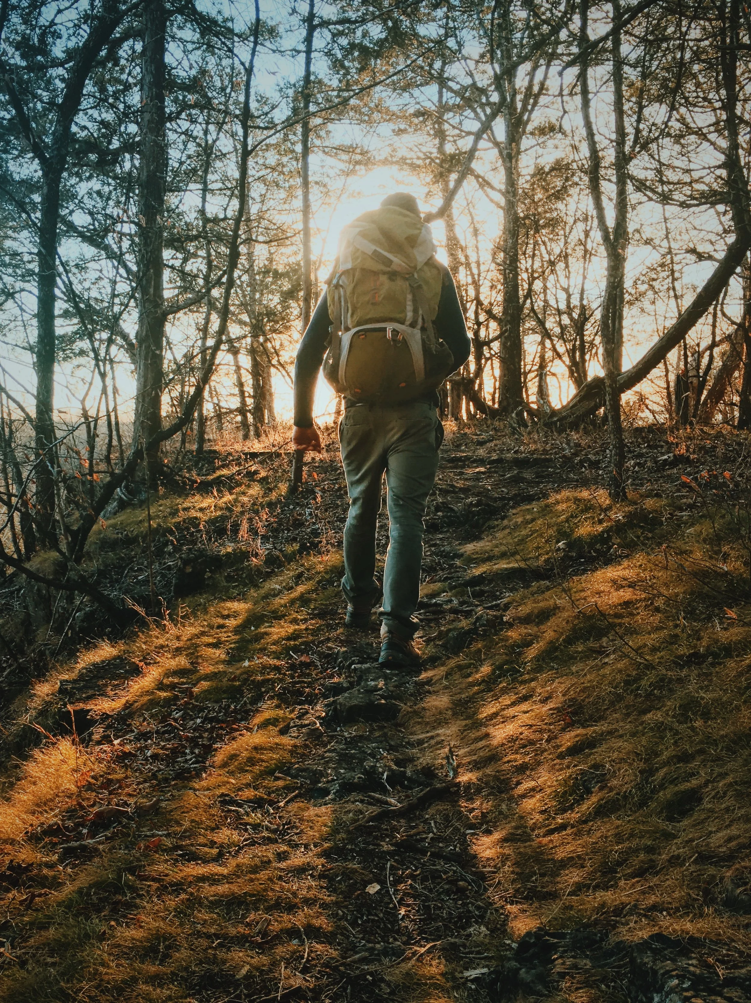 Missouri Hiker Print