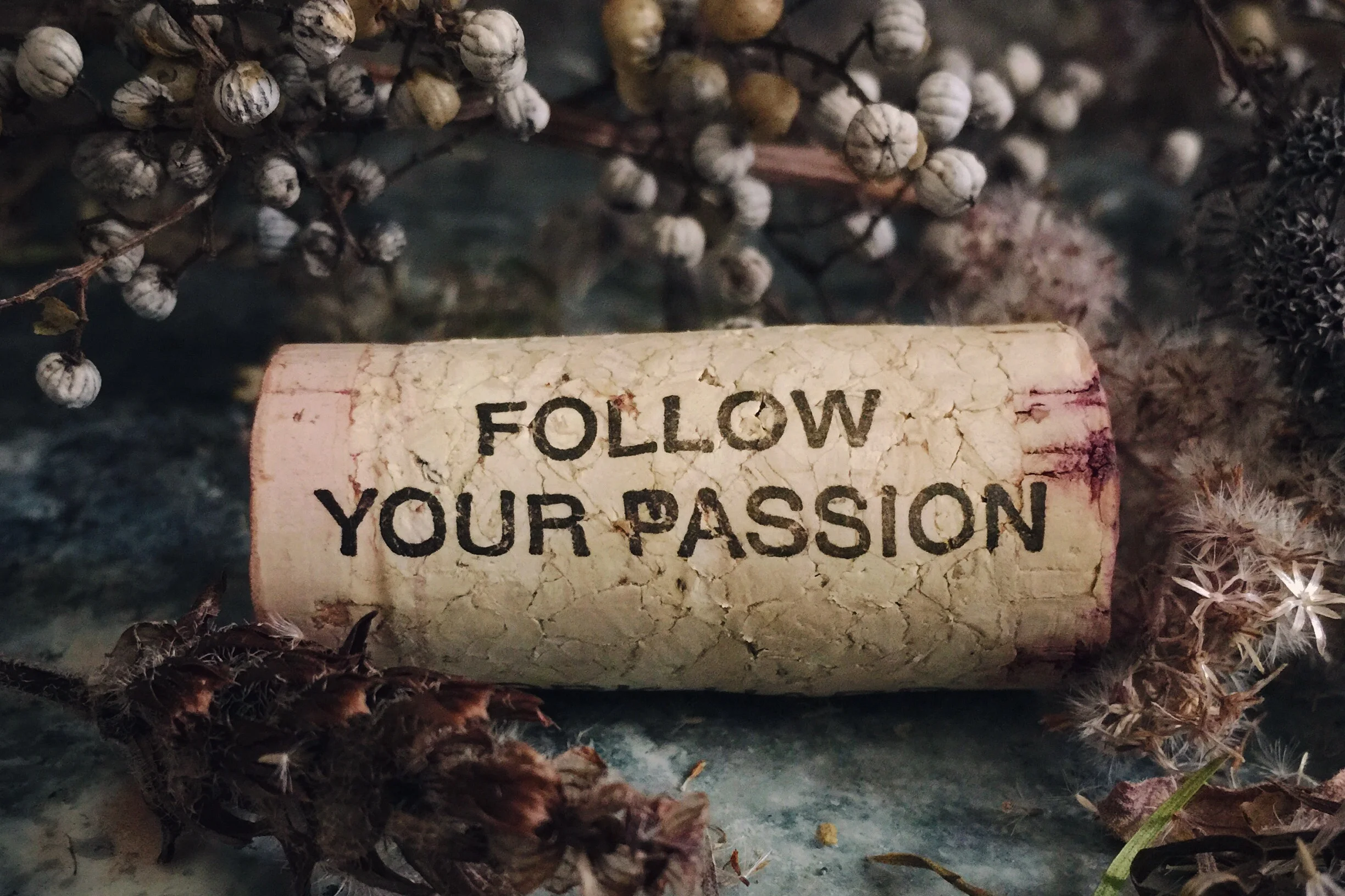 Follow your Passion