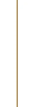 verticalline-small.jpg