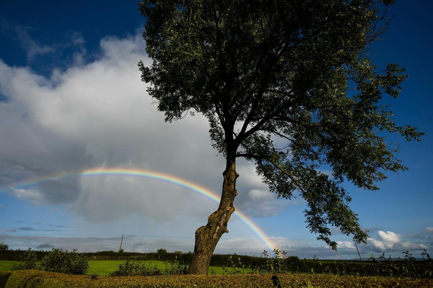 Northern Ireland pt 5
Sky

Taken from the garden of the Airbnb, taking advantage of darker skies than I get in London. Managed to get a couple of photos of the Milky Way, and lots of stars, planets, and galaxies. The photo with the tree at night has 