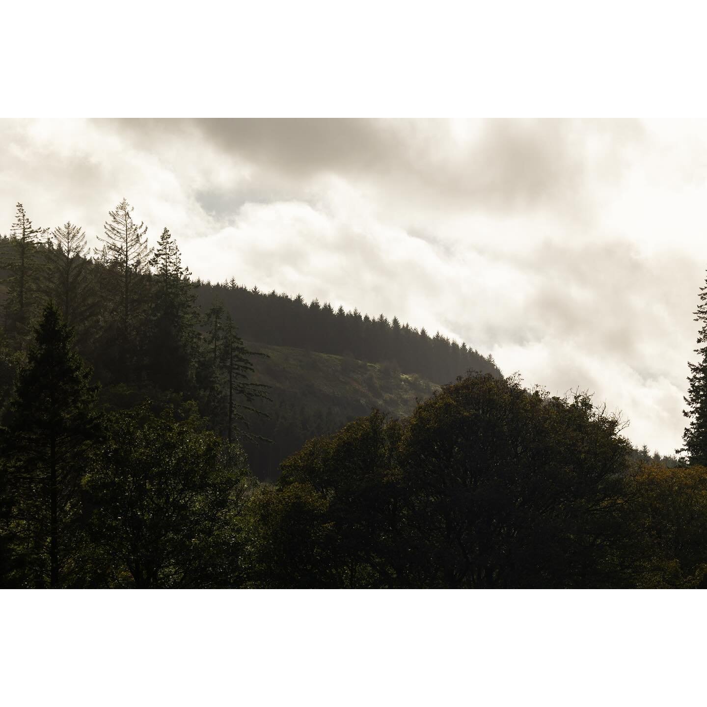 Northern Ireland pt 4
Glenariff

Glenariff Forest Park, waterfall walk
And a quick visit to the Dark Hedges

#northernireland #glenariff #glenariffforestpark #waterfall #trees #green #darkhedges #canon #mirrorless #r6 #photography
